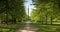 The Victory Column or Siegessaule, viewed from The Tiergarten public park in Berlin, Germany, Europe