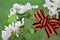 Victory day is a spring holiday. A bow of St. George`s ribbon on a branch of a flowering Apple tree.