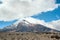 Vicugnas near stratovolcano Chimborazo
