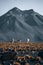 Vicuna animal llama in front of Volcanic mountains in San Pedro de Atacama Chile