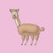 Vicuna cute on pink background. Isolated cartoon vector character