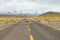 Vicunas in the meadows of Atacama region