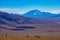 Vicunas and volcanoes surround a salt lake in the high altitude desert of Salta`s puna region in Argentina