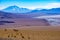 Vicunas and volcanoes surround a salt lake in the high altitude desert of Salta`s puna region in Argentina