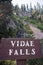 Vidae Falls located along the Rim Drive in Crater Lake National Park.