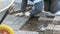 Video 4k resolution. Bricklayer lays brickwork or paving slabs on pavement. Close-up view of hands with instruments.