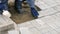 Video 4k resolution. Bricklayer lays brickwork or paving slabs on pavement. Close-up view of hands with instruments.