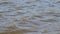 Video background of waves on the pond water surface