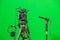 Video camera on a tripod, headphones and a directional microphone on a green background. The chroma key. Green screen