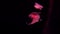 A video captures two red jellyfish moving slowly in the depths of the ocean. Their graceful movements and vivid red