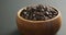 Video of close up of wooden bowl of chocolate chip over grey background