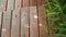 Video of Curved cut wooden deck in the garden