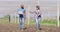 Video of diverse woman and man with laptop walking in greenhouse