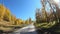 Video of driving along road on Keleysky mountain pass in Altai in Autumn