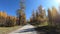 Video of driving along road on Keleysky mountain pass in Altai in Autumn