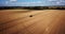 Video from drone of combine harvesters working in wheat field. Crop season