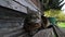 Video of fat cat lying tired and yawning on wooden bench