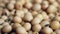 Video footage of fresh raw soybeans in wooden bowl, close up,