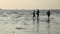 Video Footage Stock Silhouette Three men flow along the shallows sky sea breeze ebb tide coastline sunset