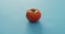 Video of fresh tomato with copy space over blue background