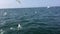 A video of Gannets diving in slow motion