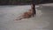 Video of girl lying on the sand with splashing water and touching sensually - back view in slow motion.