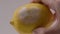 Video hand holding Mouldy Lemon and moving it