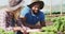 Video of happy diverse woman and man checking plants and talking in greenhouse