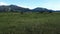 Video of a herd with young curious cows on a meadow in Bavaria