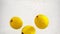 Video of lemons in slow motion. Ripe fruits are immersed in water with bubbles.