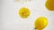 Video of lemons in slow motion on white background. Ripe yellow fruits are immersed in water with bubbles.