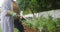 Video of midsection of plus size african american woman watering flowers in garden