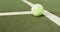 Video of one green tennis ball on the green court