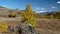 Video panorama of North Chuiskiy Ridge with stones on foreground and larch forest on background in Autumn. Altai