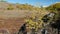 Video panorama of North Chuiskiy Ridge with stones on foreground and larch forest on background in Autumn. Altai