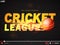 Video Player window for Cricket League concept.