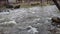 Video of raging water in creek that is flooded after heavy rains and melting snow