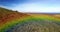 Video of rainbow fog over moving countryside landscape