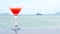 Video of Red cocktail on the summer tropical beach