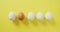 Video of row of one brown and four white eggs with copy space on yellow background