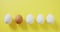 Video of row of one brown and four white eggs with copy space on yellow background