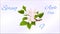 Video seamless loop animation of illustration season winter, spring, summer, autumn apple tree branch with flowers and apples vint