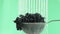In the video we see grapes in a sieve, water start fall from the top, camera moves from top to bottom, green background
