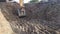 Video shot of Construction Excavator Scooping and Dumping on Soil Pile in India