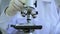 Video shot of Medical Research Scientist Looking under the Microscope in the Laboratory.