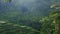 Video of sunrise rice terrace with palm trees in Bali, Ubud