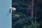 A video surveillance camera on the building monitors the forest, monitoring the safety of parks and trees in nature