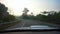Video Tropical jungle with morning mist. fun Driving car in foggy road trip pov