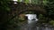 Video of Whatcom Falls with a old stone bridge with moss and ferns in Bellingham WA 1080p