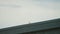 Video of a white city bird sitting on a roof ledge looking out to the distance